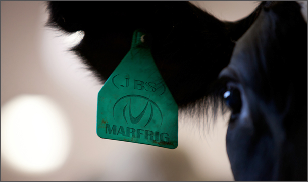 20140522 caravana vaca-610