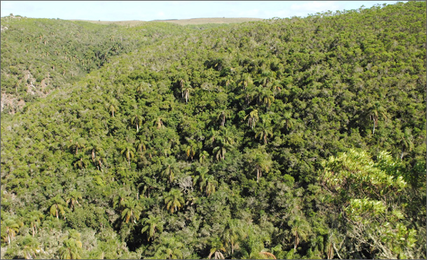 20140605 ambiente-610