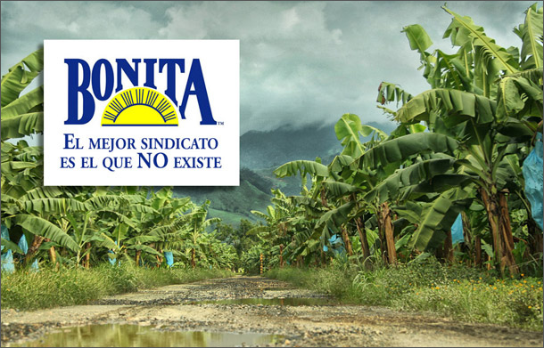 20140704 banano 610b