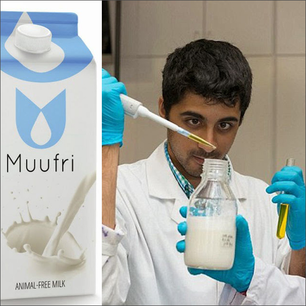 20141125 muufri-610