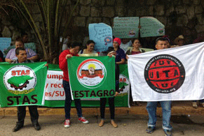 20161128 fyffesAnimado