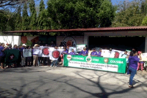 20170308 fyffesMujeranimado