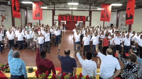 20170809 stibysAnimado