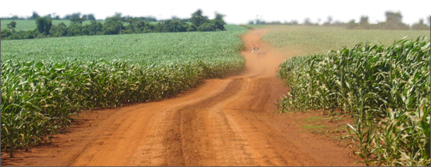 agronegocio-PARAGUAY-610c