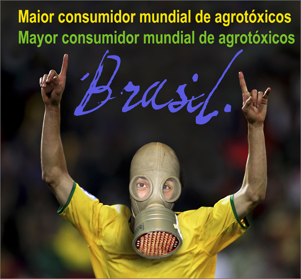 brasil consumidor agrotoxicos-610
