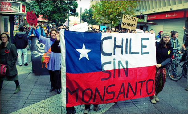 chile sin monsanto-610