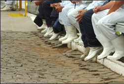 correio do povo-1-150