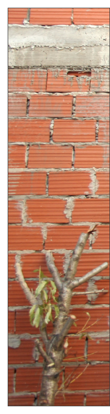 ladrillos-200-2