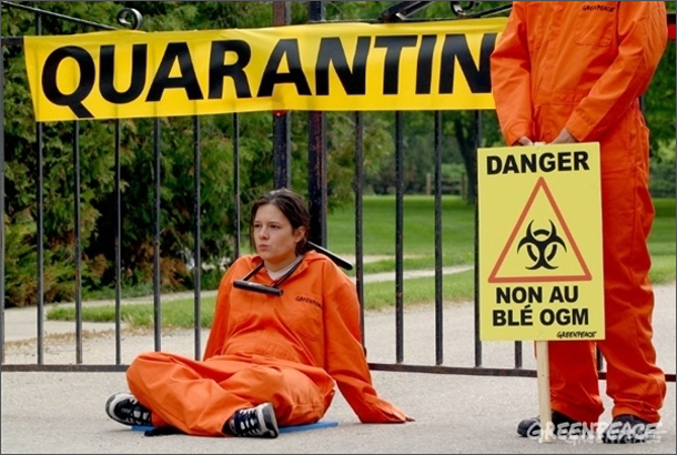 monsanto-greenpeace-610