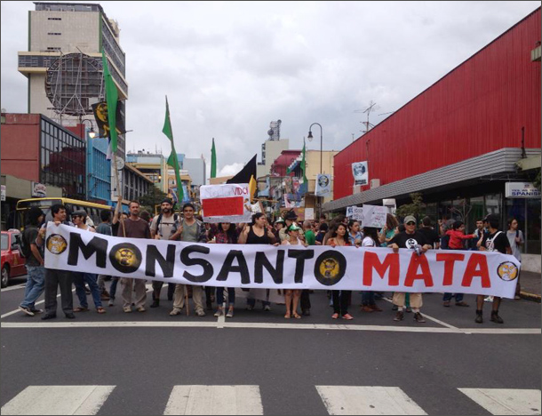 monsanto 20130712-610
