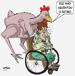 pollos-sin-logo