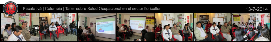 agenda flores 20140713-940