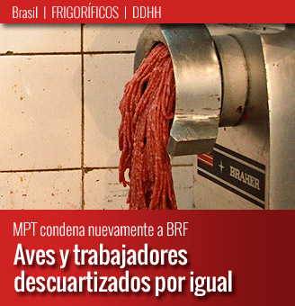 20141030 detacado picadora-328