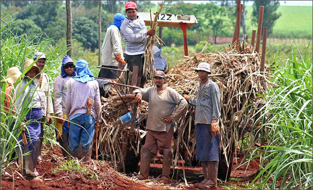 20140702 tabacal-610