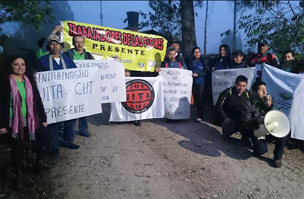 20150413-SINTRAINAGRO610