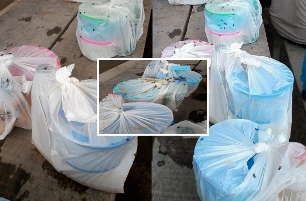 20150708-PERUAlimentos610