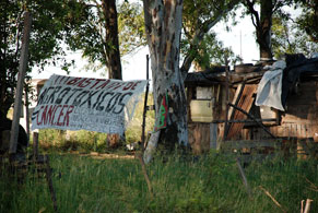 20160311 monsanto291