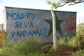 20160311 monsanto291 5