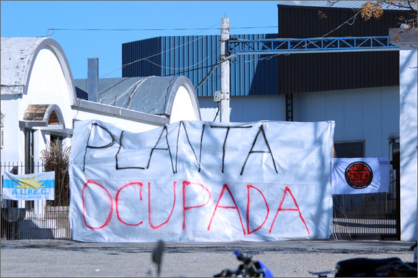 marfrig-ocupada-610b