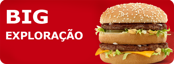 mcDonaldBigMac20130412 2