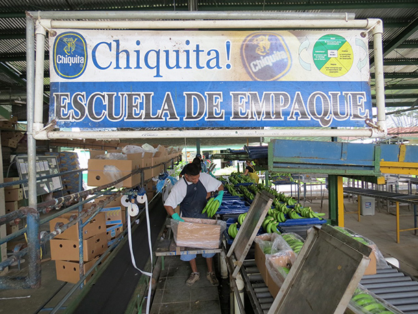 20130920 chiquita 610