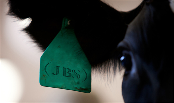 20140618 vaca caravana JBS-610