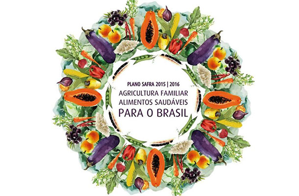 2016 Alimentos saludables Brasil 610