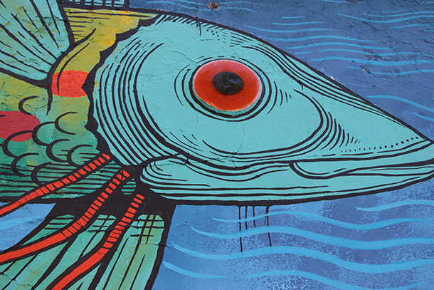 8-pescado-004-610