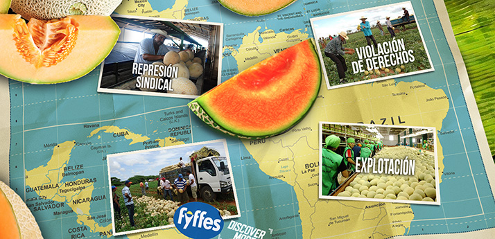 20161104 Fyffes 714