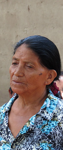 20161105 María-Gómez d 210x500