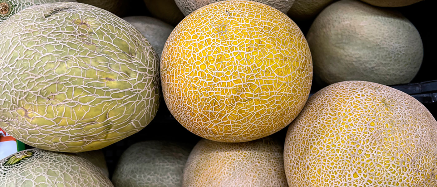 Honduras confirma violaciones laborales en meloneras de Fyffes