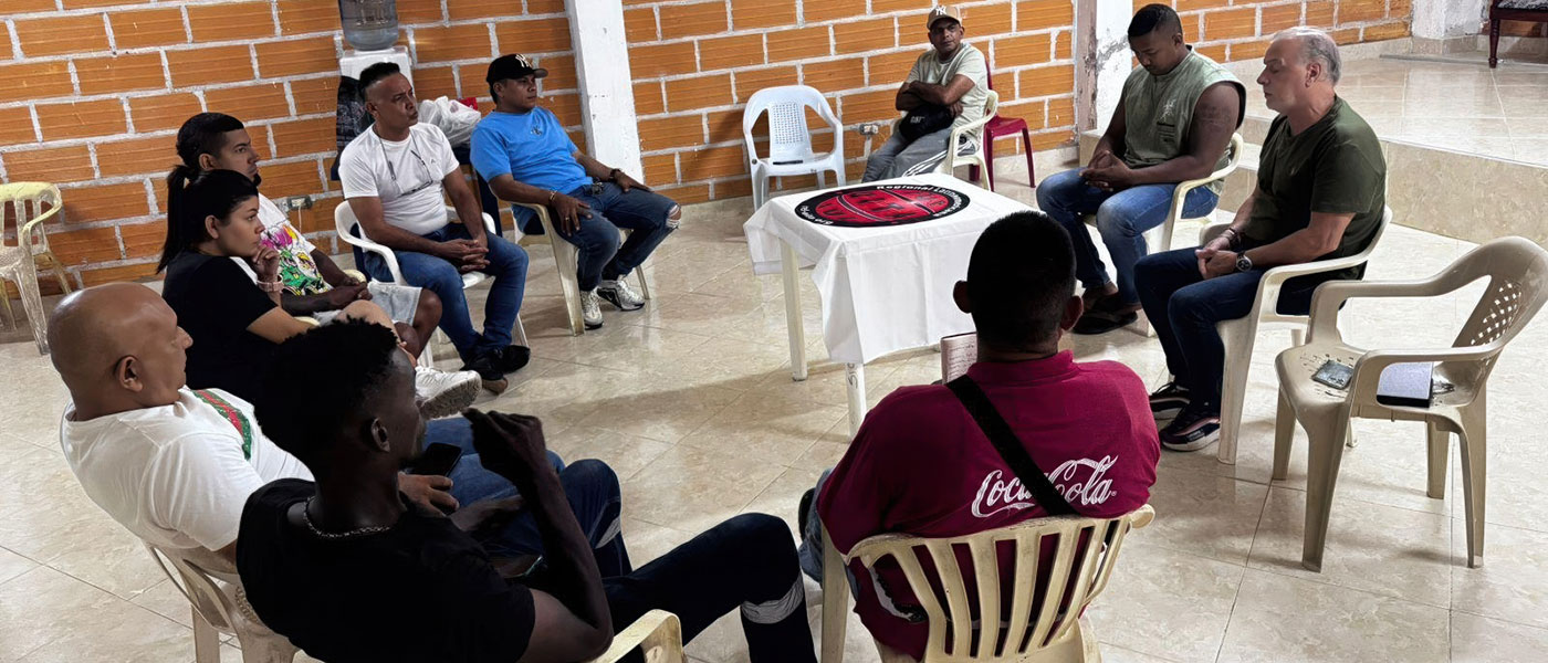 Una pequeña planta en medio del bananal